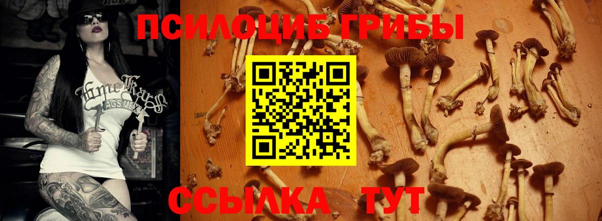 Галлюциногенные грибы MAGIC MUSHROOMS Грязи