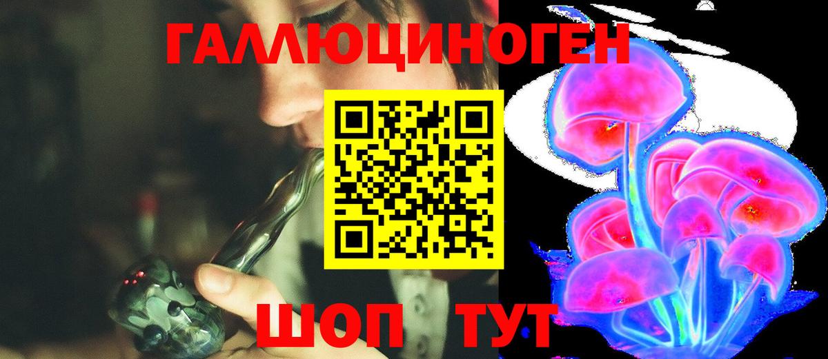 Псилоцибиновые грибы Cubensis  Вход с VPN  Грязи 